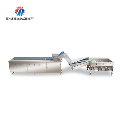 3KW 50HZ Fruit And Vegetable Processing Line Washing Sorting Machine