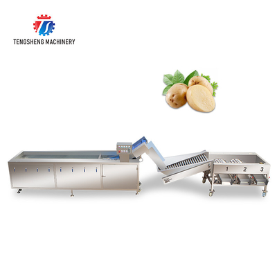 3KW 50HZ Fruit And Vegetable Processing Line Washing Sorting Machine