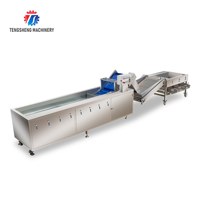 Multifunction Fruit And Vegetable Processing Line Automatic Washing And Sorting Machine