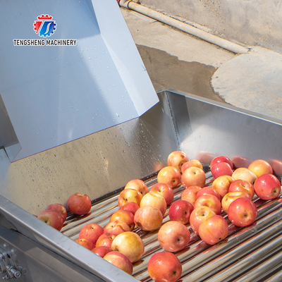Multifunction Fruit And Vegetable Processing Line Automatic Washing And Sorting Machine