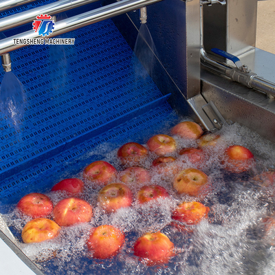 3KW 50HZ Fruit And Vegetable Processing Line Washing Sorting Machine