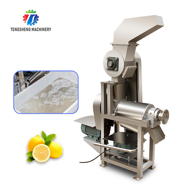 Wholesale Fruit Juicer Commercial Large Juicer Stainless Steel Vegetable Juicer