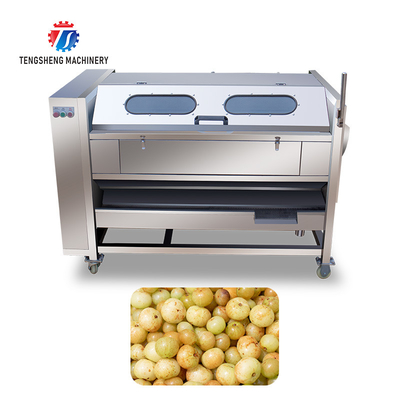 1500KG/H 1.5KW Potato peeling machine taro peeling machine multi-functional horseshoe hair roller cleaning machine