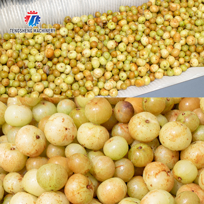 1500KG/H Ginger peeling cleaning machine potato yam peeling machine Wool roller cleaning peeling machine