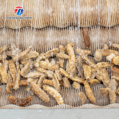 1500KG/H Ginger peeling cleaning machine potato yam peeling machine Wool roller cleaning peeling machine