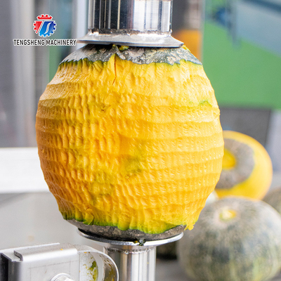 Cantaloupe Pumpkin Peeler Machine , Taro Peeling Machine 2 Head Work Circularly Industrial