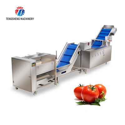 SS Fruit And Vegetable Hair Roller Bubble Cleaning Machine 800KG/H