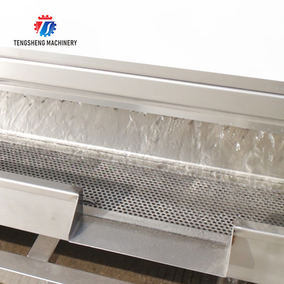 SS Fruit And Vegetable Hair Roller Bubble Cleaning Machine 800KG/H