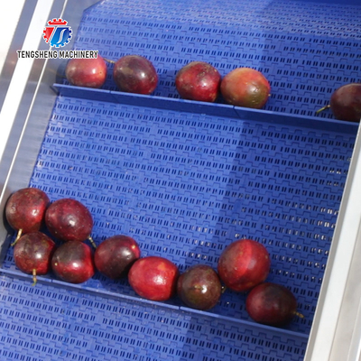 Multifunctional Vegetable And Fruit Processing Line Hair Roller Bubble Cleaning Production Line