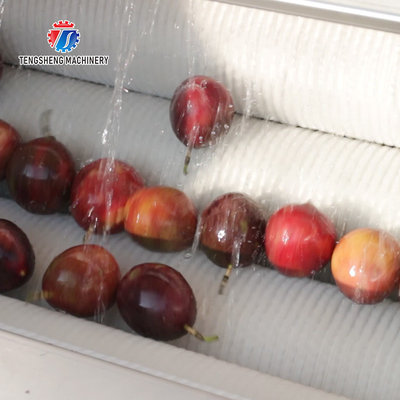 Multifunctional Vegetable And Fruit Processing Line Hair Roller Bubble Cleaning Production Line