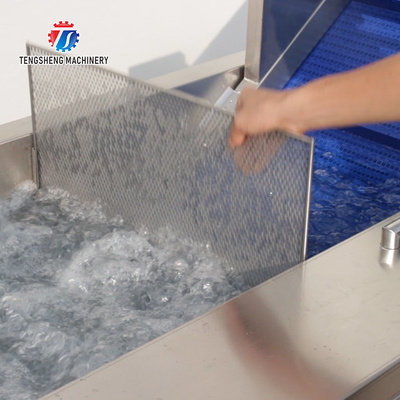 Multifunctional Vegetable And Fruit Processing Line Hair Roller Bubble Cleaning Production Line