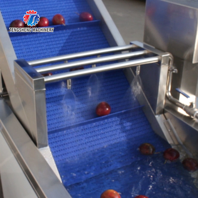 SS Fruit And Vegetable Hair Roller Bubble Cleaning Machine 800KG/H