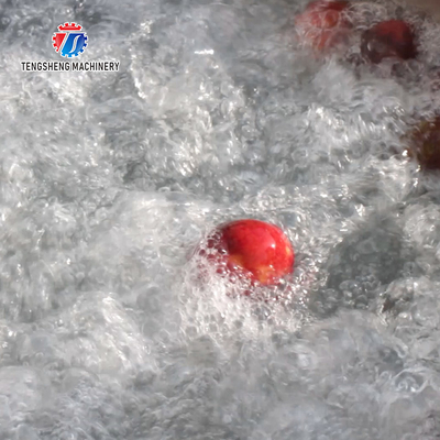 SS Fruit And Vegetable Hair Roller Bubble Cleaning Machine 800KG/H