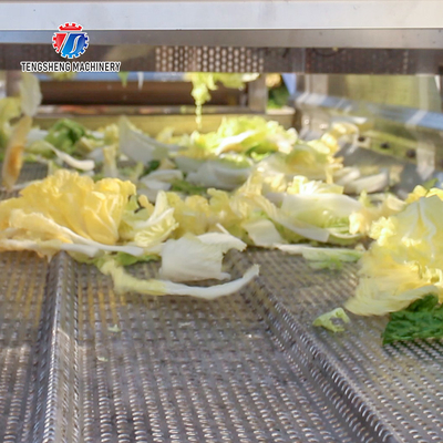 Stainless Steel Vegetable Processing Machine 4.25KW Fruit Air Dryer