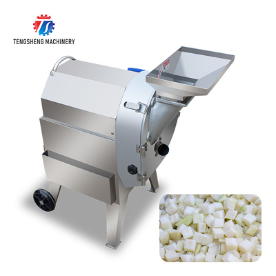 SS Slender No Sticky Edges Vegetable Processing Machine Tengsheng