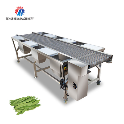 Fruit And Vegetable Pretreatment Table Vegetable Selection Table Multi Station