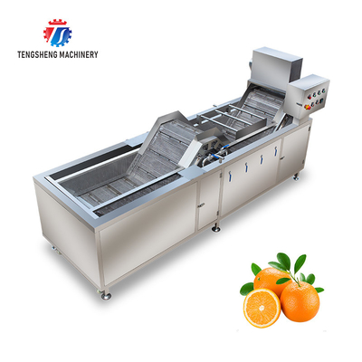Multifunctional Fruit Washing Machine 3.8KW Vegetable Blanching Equipment