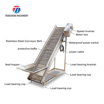 380V Vegetable Processing Machine Automatic Elevator Food Conveying
