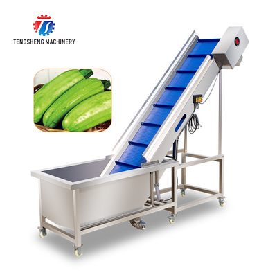 Electric Vegetable Orange Pre - Foam Elevator Machine