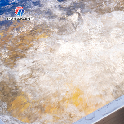 0.375KW 380V Lifting and conveying of large food supporting machinery for fruit and vegetable pre - foaming materials