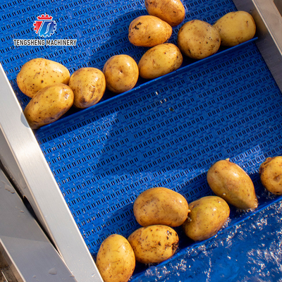 Multifunctional Fruit And Vegetable Processing Line Hoisting Machine