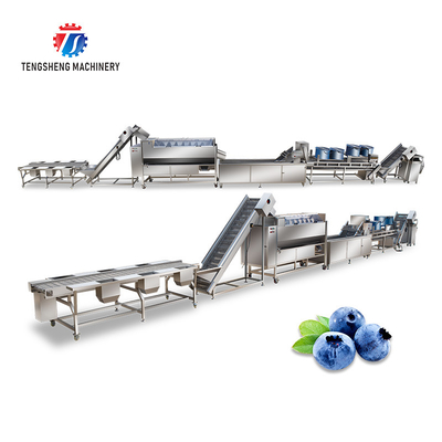 Stainless Steel Fruit And Vegetable Processing Line Potato Picking Hair Roller Bubble Washing Machine