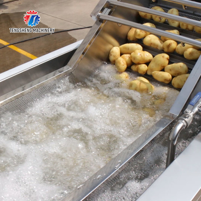 Stainless Steel Fruit And Vegetable Processing Line Potato Picking Hair Roller Bubble Washing Machine