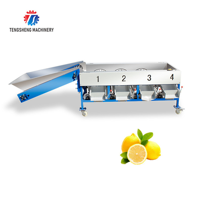 280KG Lemon screening and grading machine special stainless steel roller fruit sorting machine fruit sorting machine