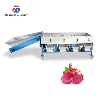 280KG Lemon screening and grading machine special stainless steel roller fruit sorting machine fruit sorting machine