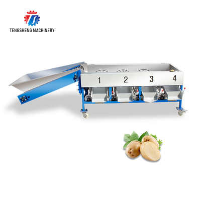 280KG Fruit sorting size picking machine stainless steel material specifications can be determined for sorting potatoes