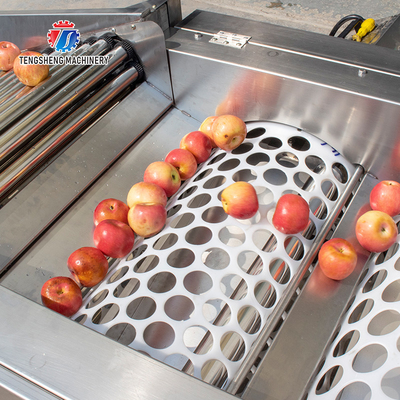280KG Fruit sorting size picking machine stainless steel material specifications can be determined for sorting potatoes