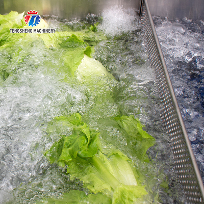 Vegetables and Fruits Bubble Cleaning Vibration Air Drying Machine Production Line