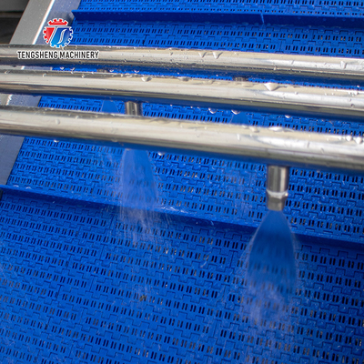 Vegetables and Fruits Bubble Cleaning Vibration Air Drying Machine Production Line
