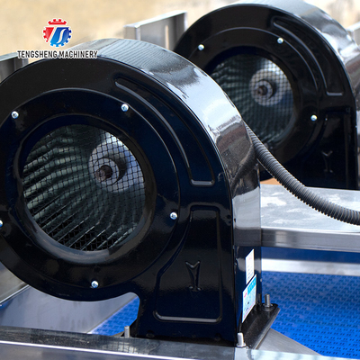 Automatic Dewatering Dehydrator Vegetable Mesh Conveyor Belt Drying Machine