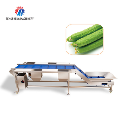 Industrial Automatic Leafy Vegetable And Fruit Lifting Sorting Table Machine