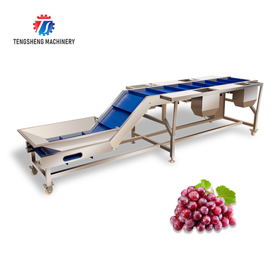 Automatic Leafy Vegetable and Fruit Pea Tomato Lifting Sorter Machine