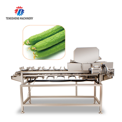 380V 150KG Luffa pumpkin asparagus cucumber lettuce bitter melon slicing machine specifications can be fixed