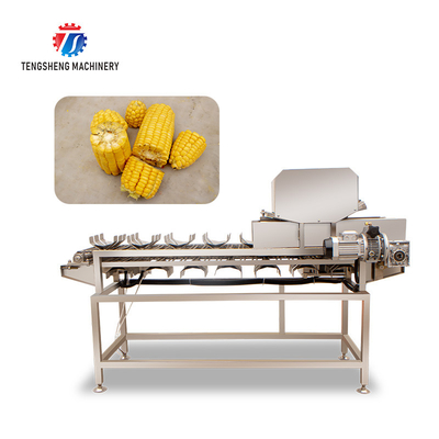 380V 150KG Luffa pumpkin asparagus cucumber lettuce bitter melon slicing machine specifications can be fixed