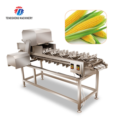 150KG 2.05KW Cut loofah pumpkin asparagus cucumber lettuce eggplant bitter melon melon