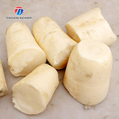 380V 150KG Luffa pumpkin asparagus cucumber lettuce bitter melon slicing machine specifications can be fixed