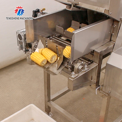 380V 150KG Luffa pumpkin asparagus cucumber lettuce bitter melon slicing machine specifications can be fixed
