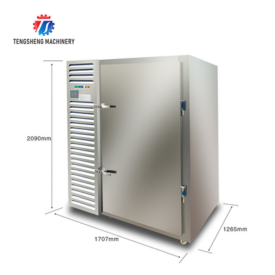 Commercial Seafood Blast Freezer Equipments for Fish in Malaysia