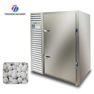 Commercial Seafood Blast Freezer Equipments for Fish in Malaysia
