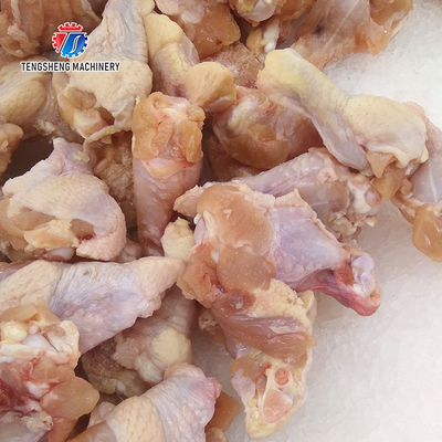 Commercial Seafood Blast Freezer Equipments for Fish in Malaysia