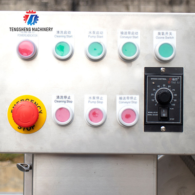 Tengsheng Vegetable Cleaning Machine , Multi Directional Sundries Filter Spinach Washing Machine