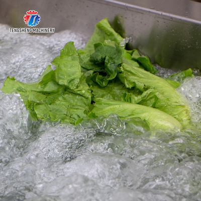 Canteens Turbidity Reduce Fruit And Vegetable Washing Machine Sediment Discharge