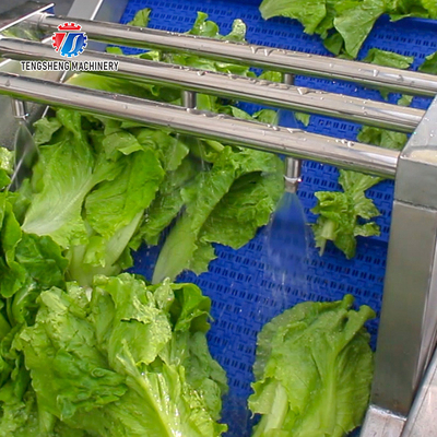 2.6KW Impurity Deposits Fruit And Vegetable Washer Machine Tomato Kiwifruit