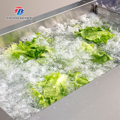 Tengsheng Vegetable Cleaning Machine , Multi Directional Sundries Filter Spinach Washing Machine