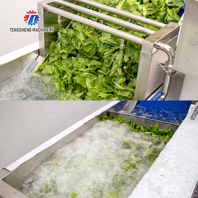 Ozonation Hyperbaric Spraying Fruit And Vegetable Washing Machine SS