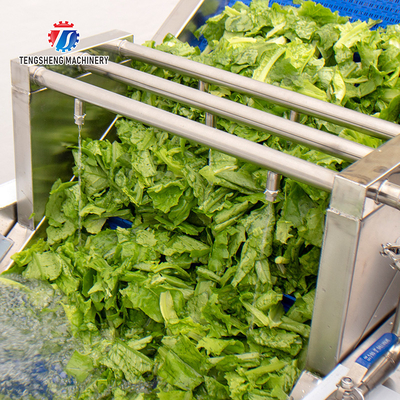 Residues Degraded Conveyor Belt Fruit And Vegetable Washing Machine 1000KG/H